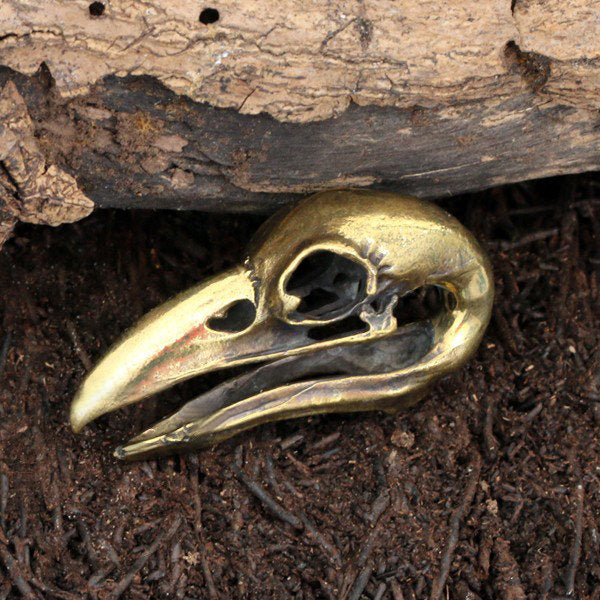 A RAVEN SKULL Gothic Ear Weight in Gold by Kaya Movement, showcasing intricate details reminiscent of piercing body jewelry, is partially buried in dark soil and rests against a piece of weathered wood.